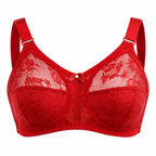 Triumph Doreen Premium Bra